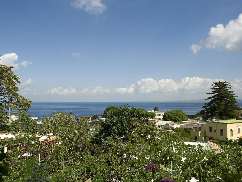 Matarese