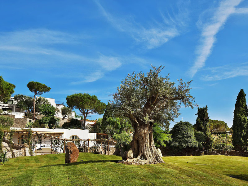 Botania Relais & Spa Ischia