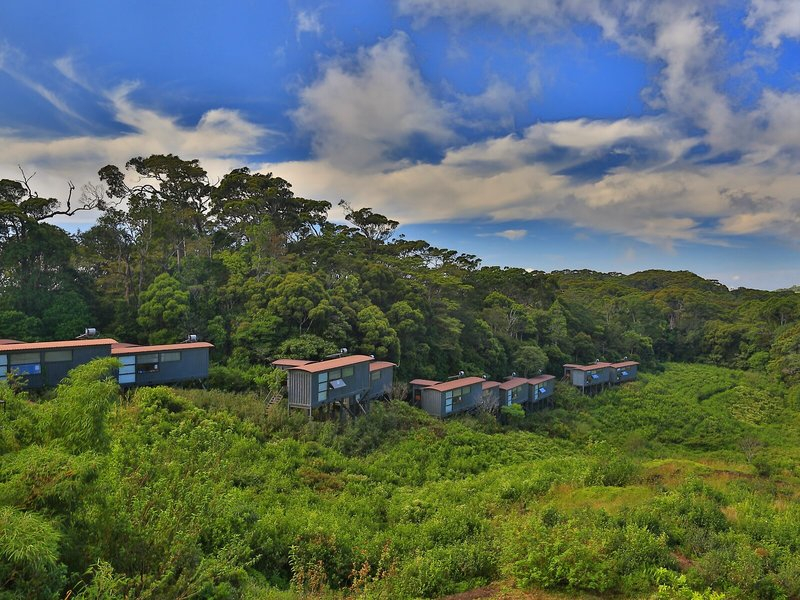 The Rainforest Ecolodge