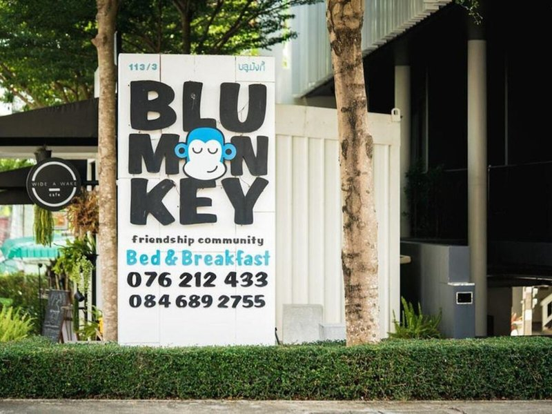 Blu Monkey Bed & Breakfast