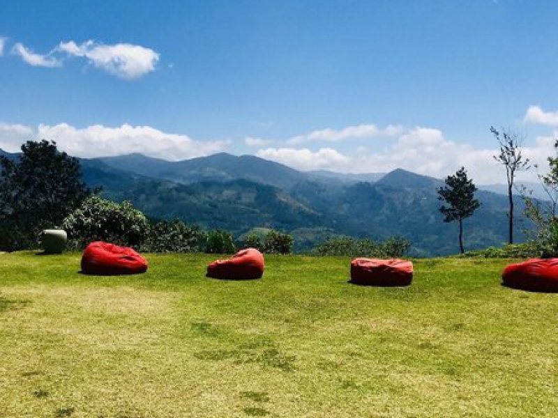 Madulkelle Tea and Eco Lodge