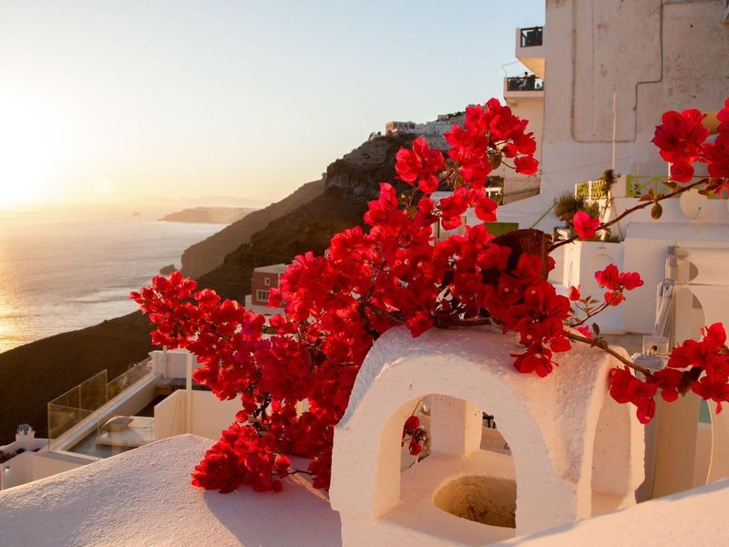 Asha Luxury Suites