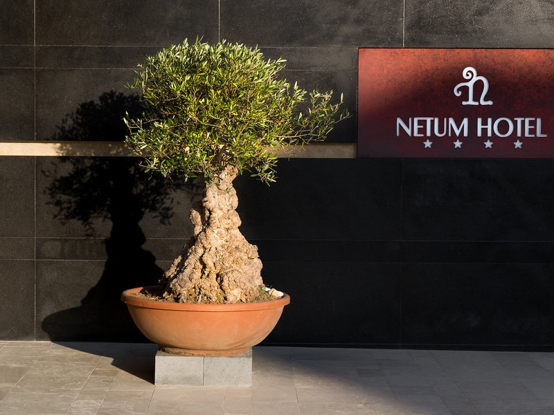 Hotel Netum