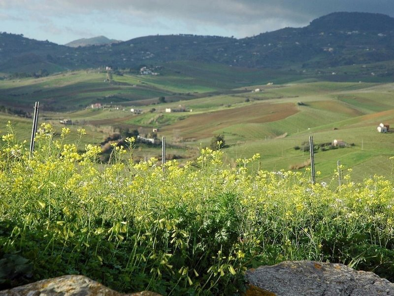 Tenute Baglio Passofondo