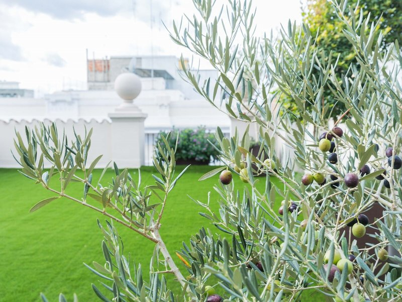 200 Rooms & Terrace