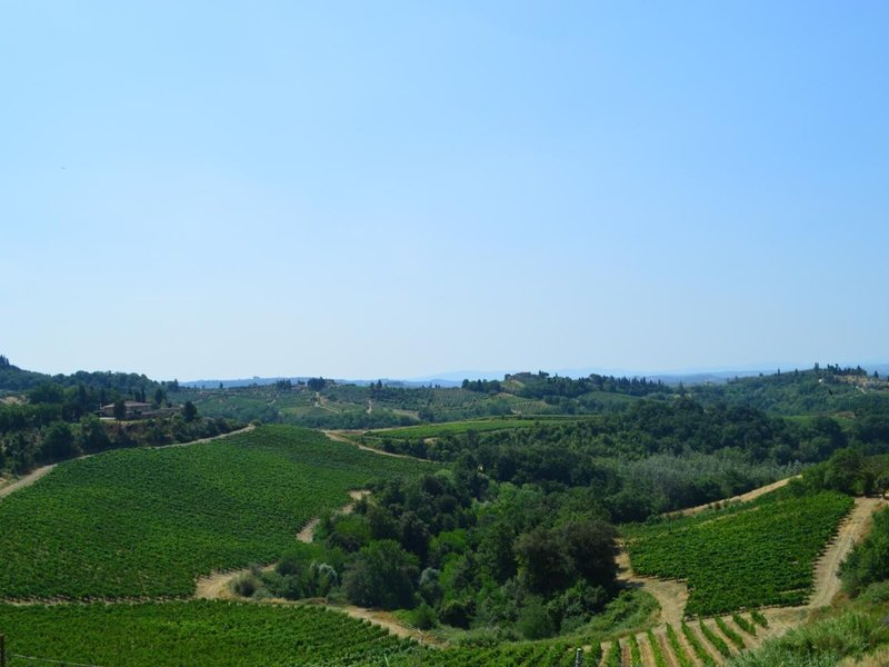 Fattoria il Bacio