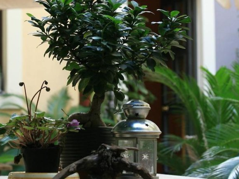 Casa Barbero B&B