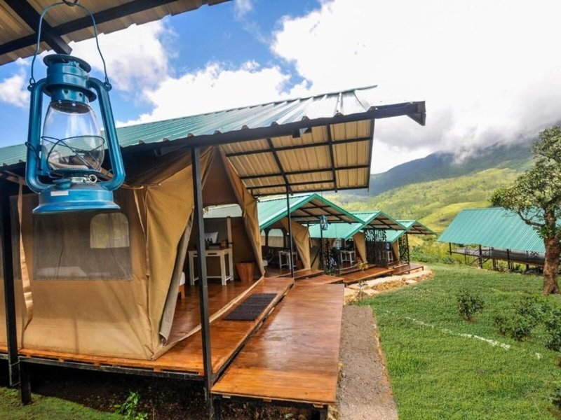 Wild Glamping knuckles
