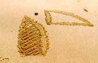 Marasca Samui