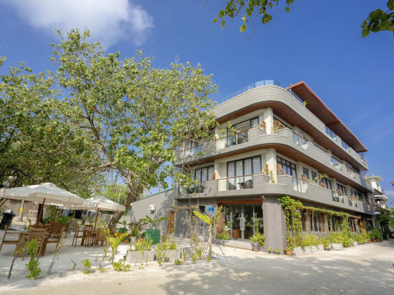 Ayala Ocean View