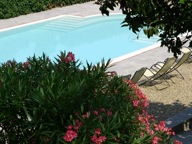 Villa dei Bosconi