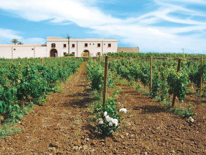 Baglio Donna Franca Wine Resort & Farm Estate