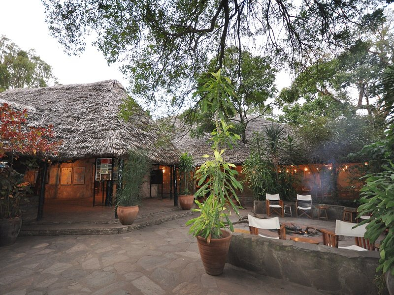 Fig Tree Camp - Maasai Mara