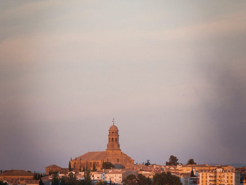 Campos de Baeza