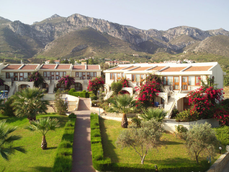 The Olive Tree Hotel